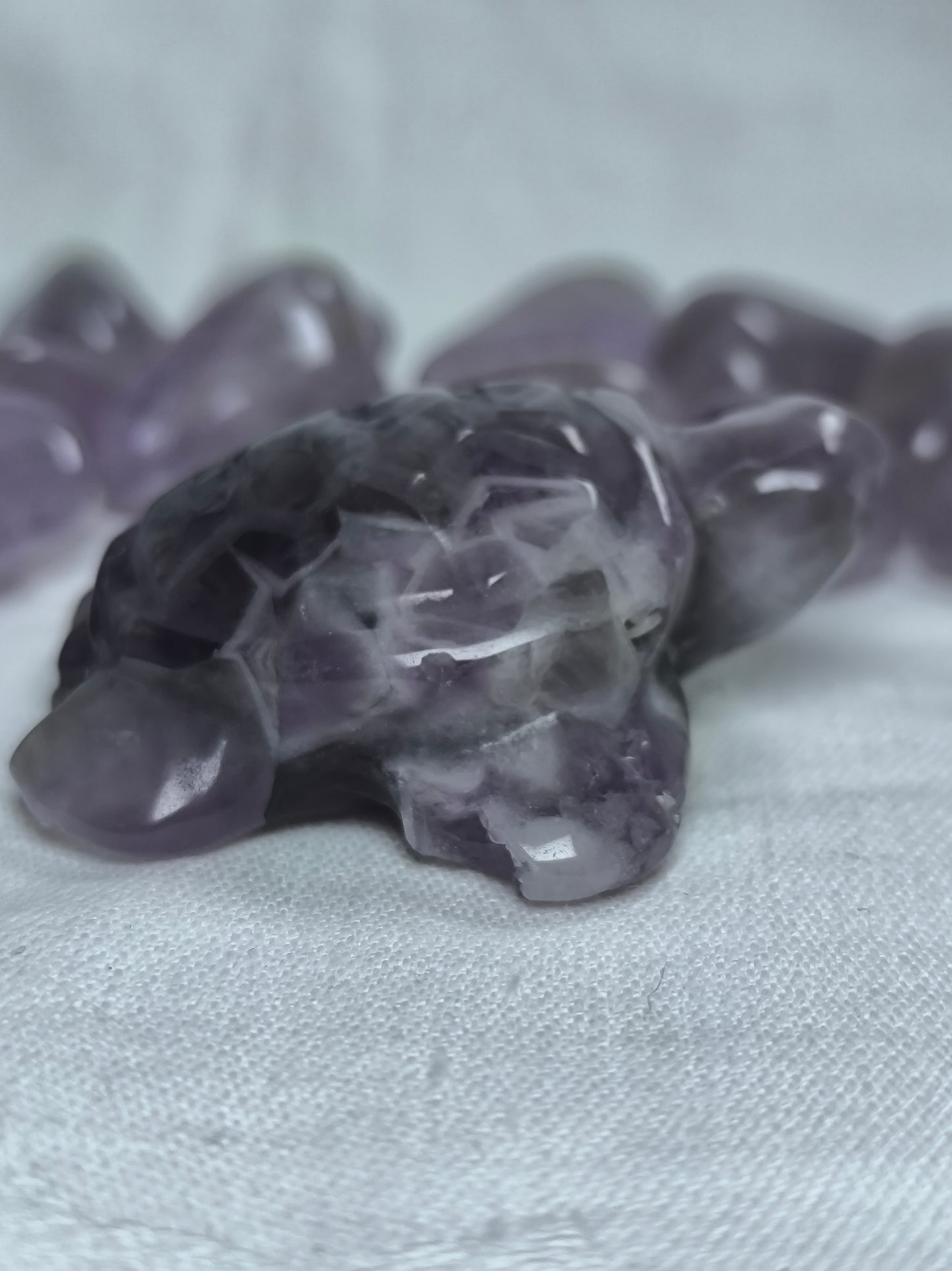 Chevron amethyst injured turtles