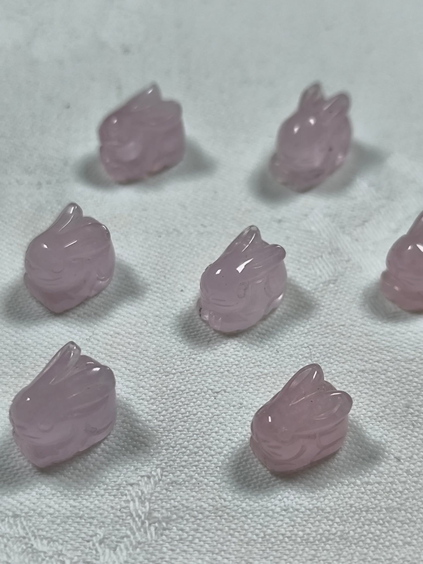 Morganite bunnies