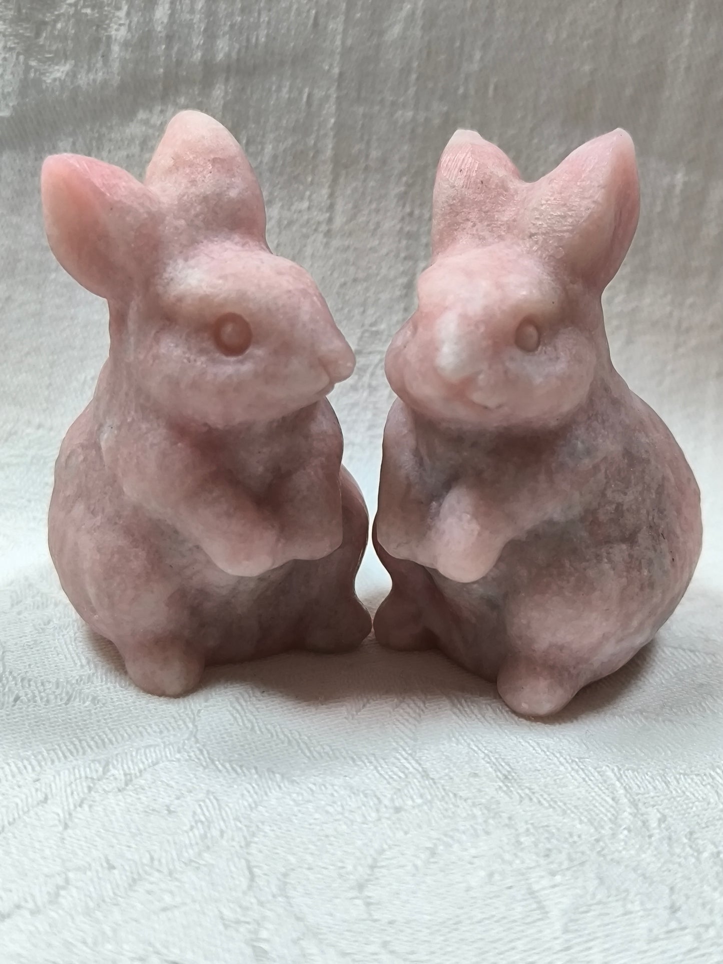 Pink opal rabbits