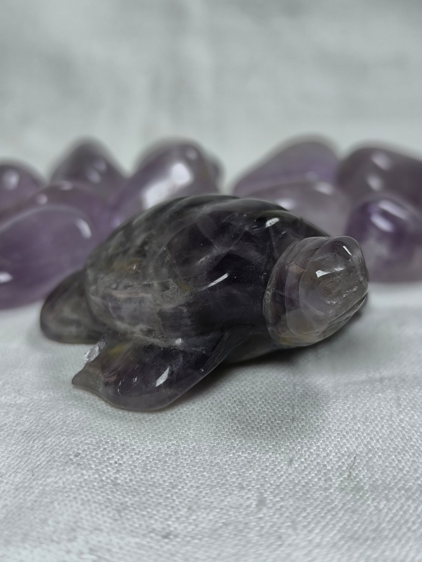 Chevron amethyst injured turtles