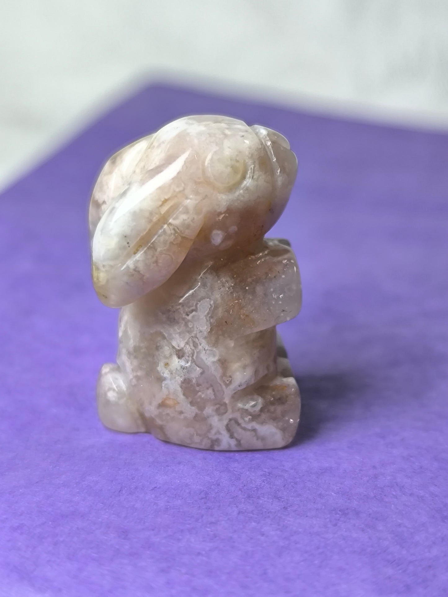 Sakura flower agate moon gazing hares