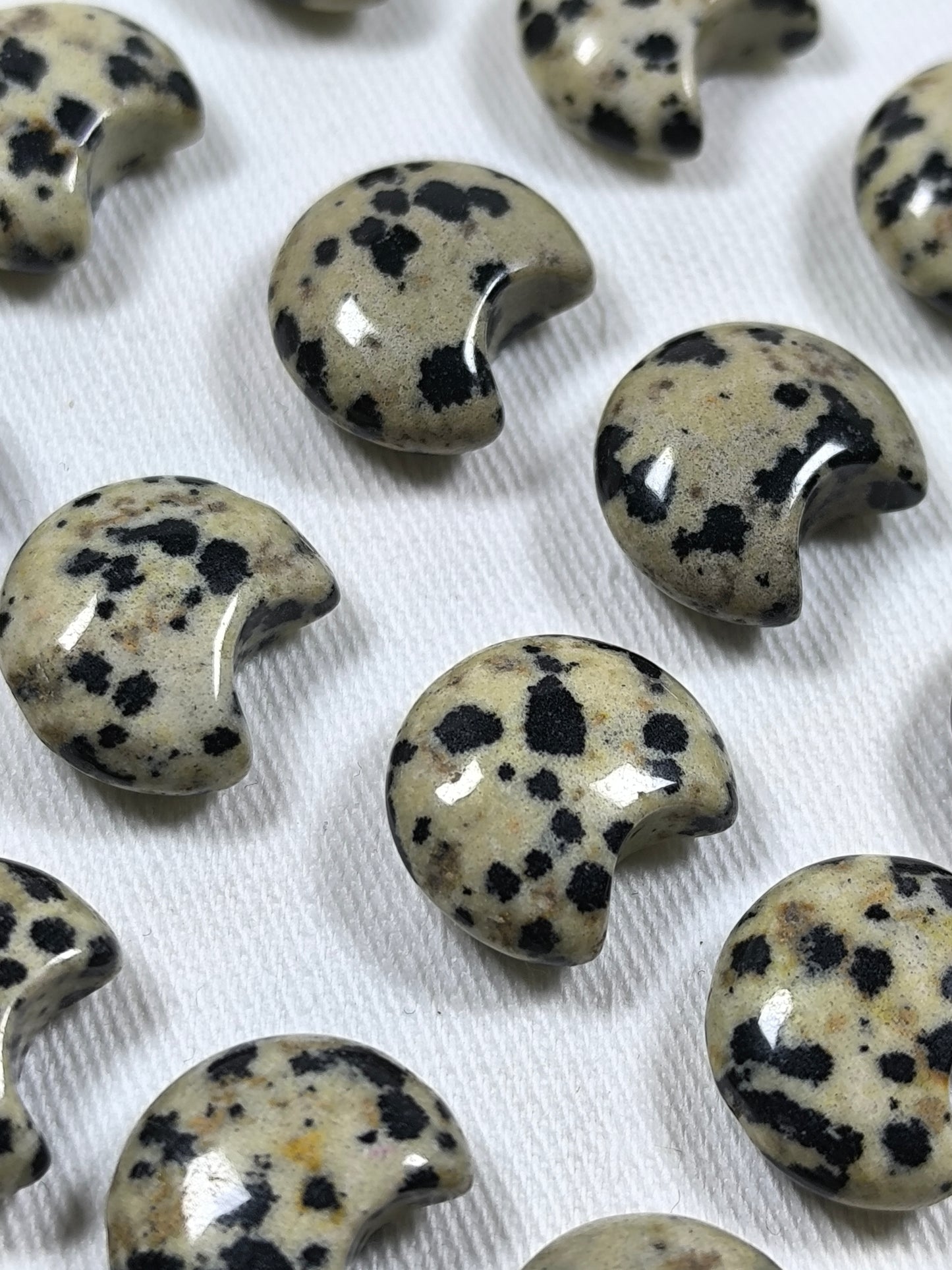 Dalmatian jasper mini moons