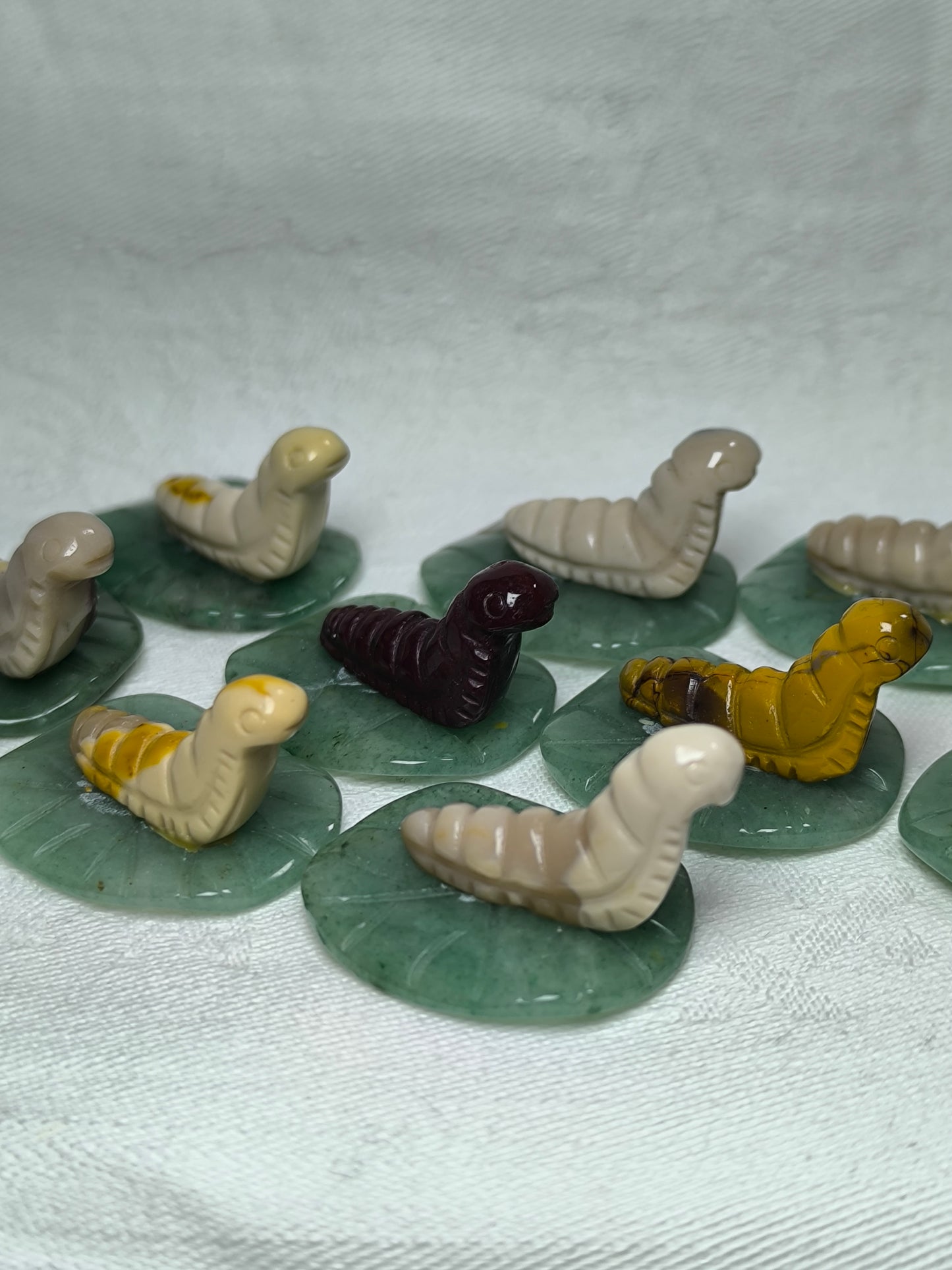 Mookiate caterpillars on a leaf