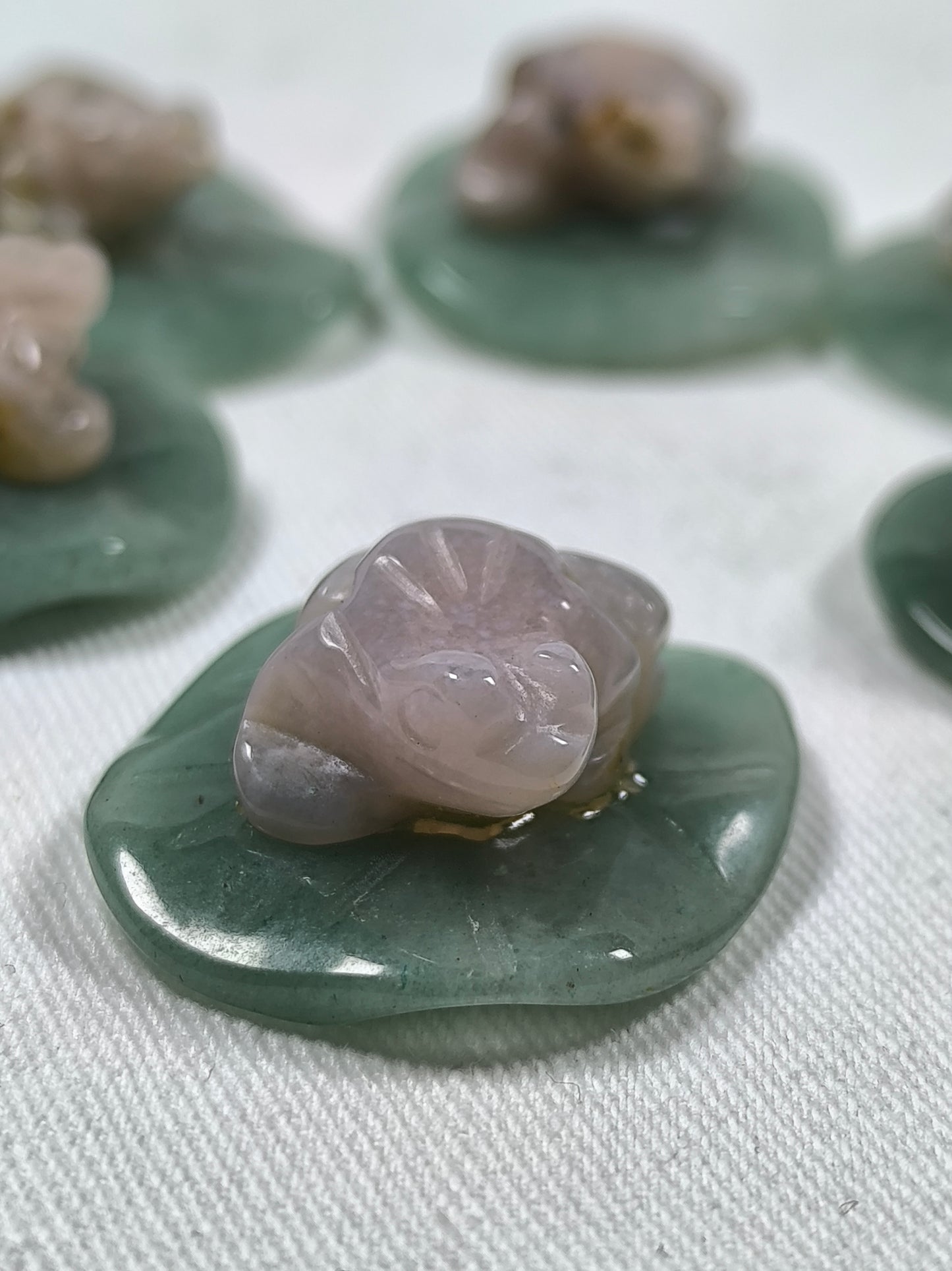 Flower agate frog on lilypad