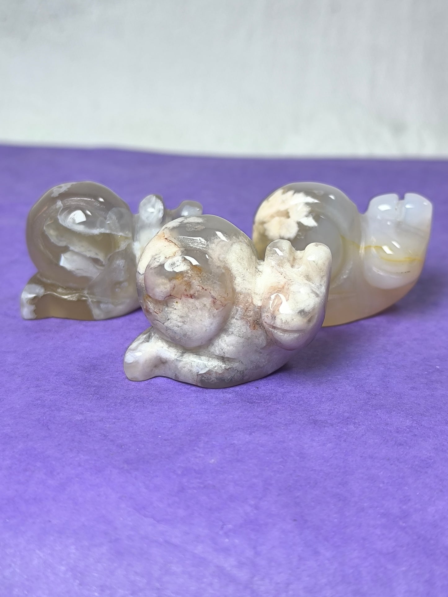Sakura flower agate snails