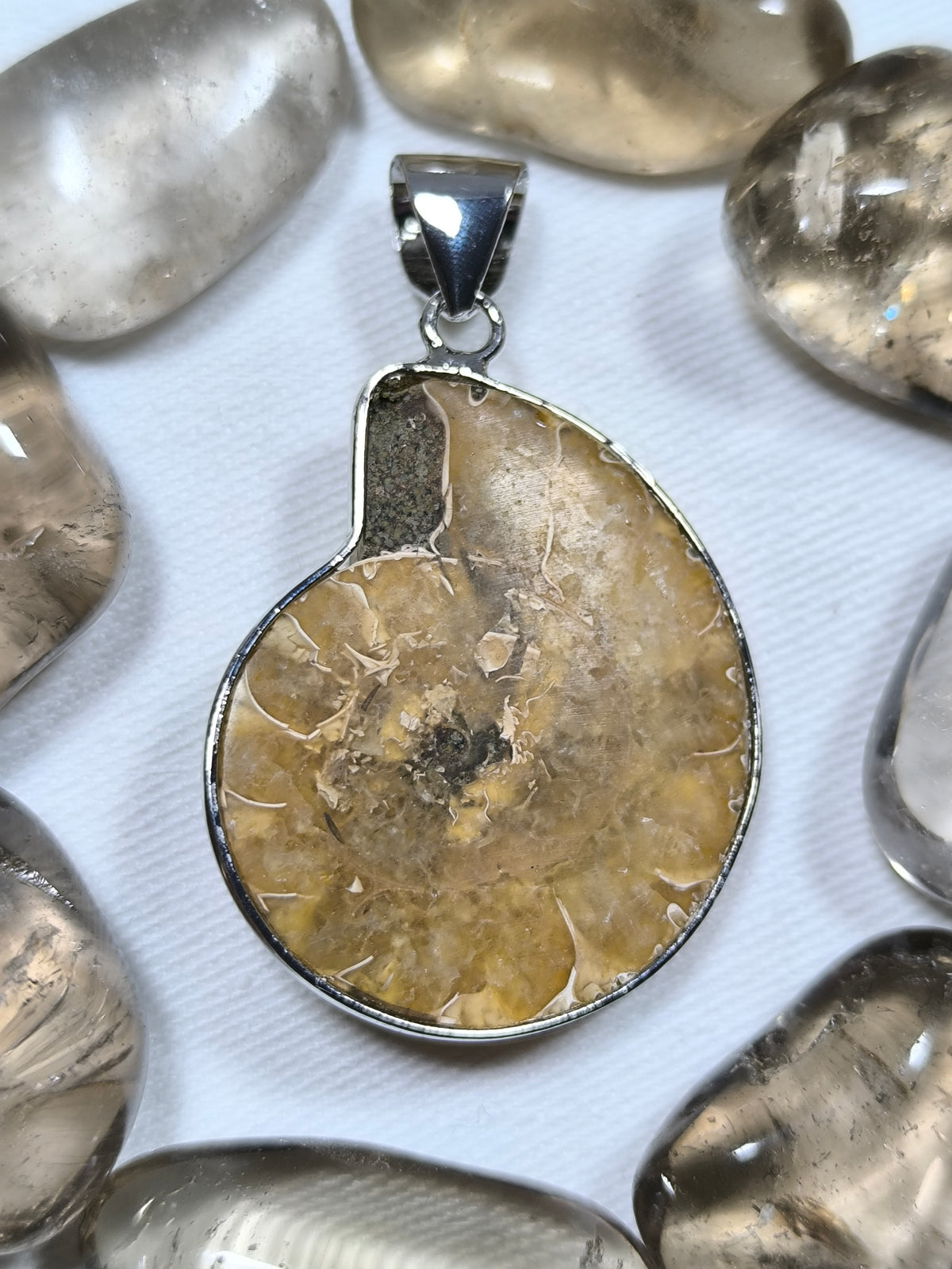 Stainless steel ammonite pendant