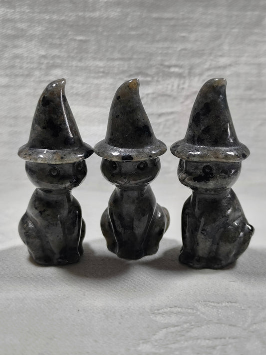 Yooperlite cats with hats