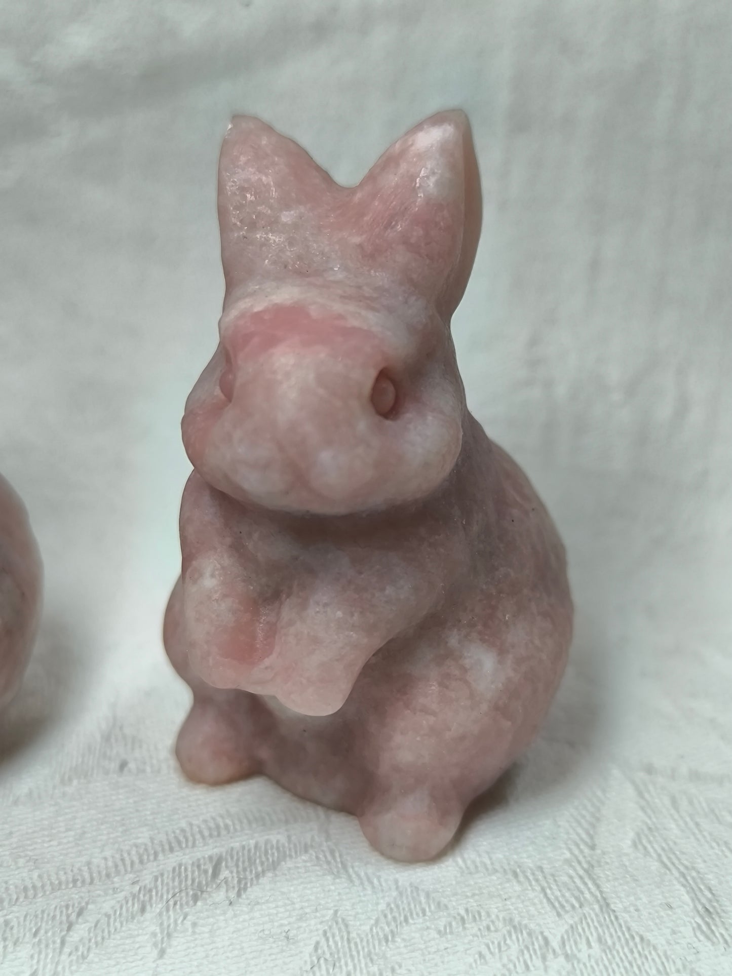 Pink opal rabbits