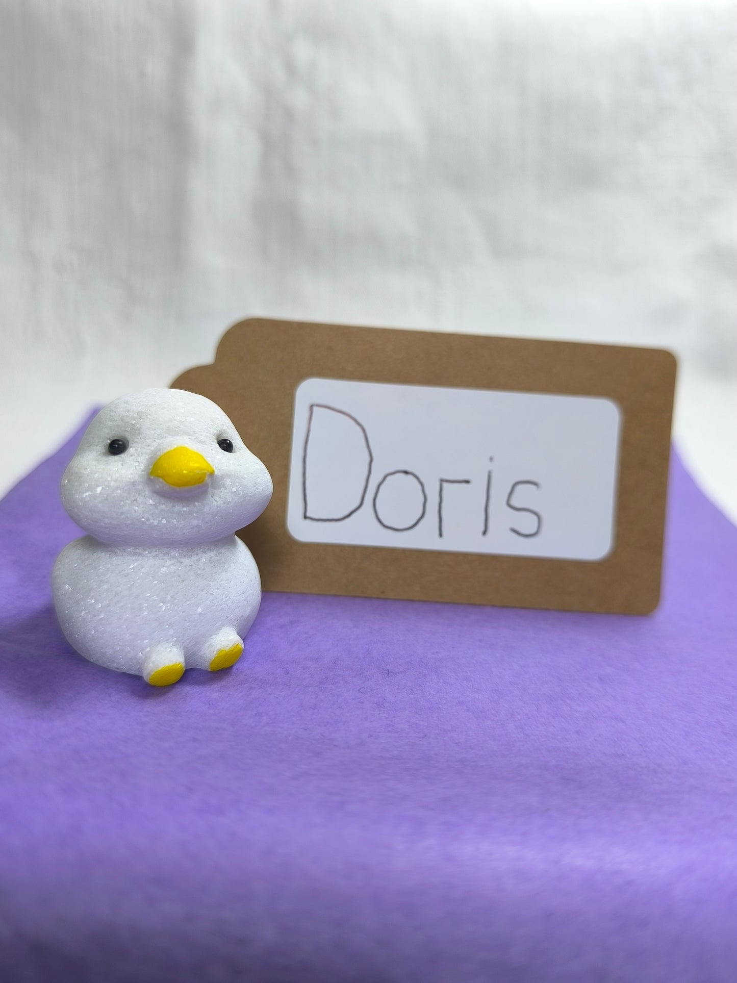 Adopt a duck