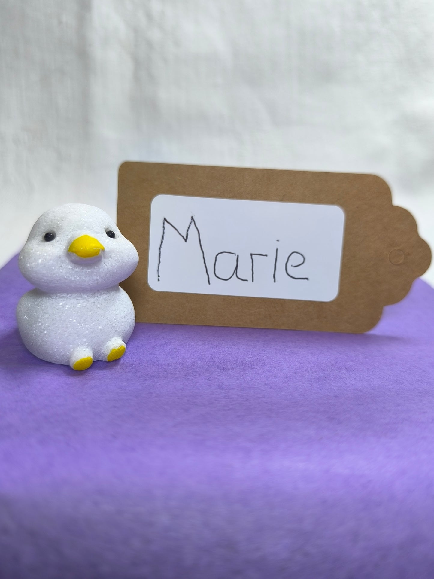 Adopt a duck