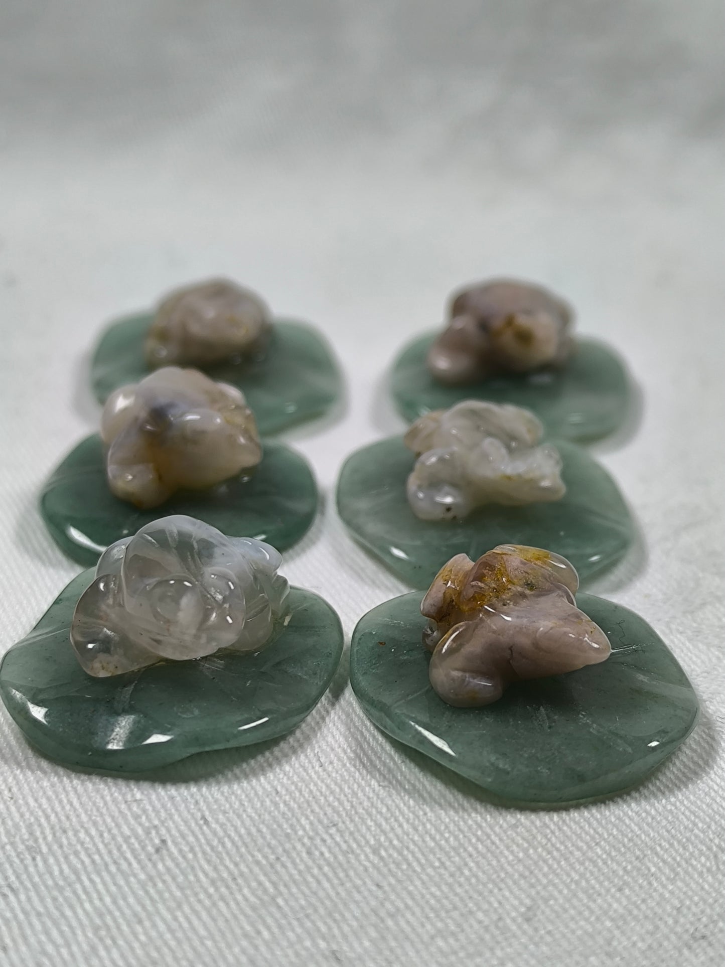 Flower agate frog on lilypad