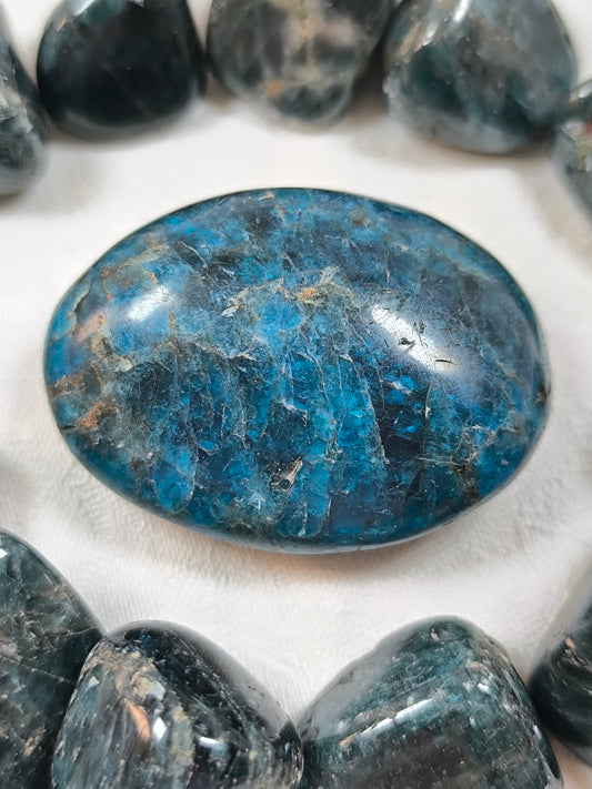 Apatite palmstone