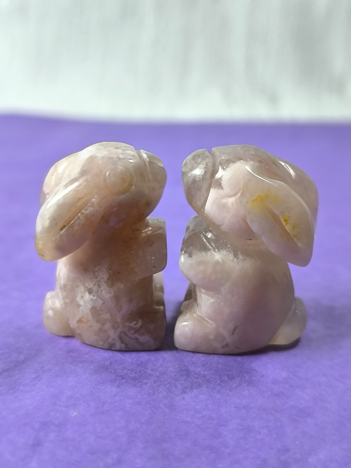 Sakura flower agate moon gazing hares