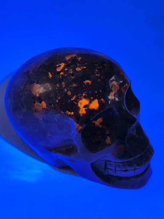 Yooperlite UV reactive skull