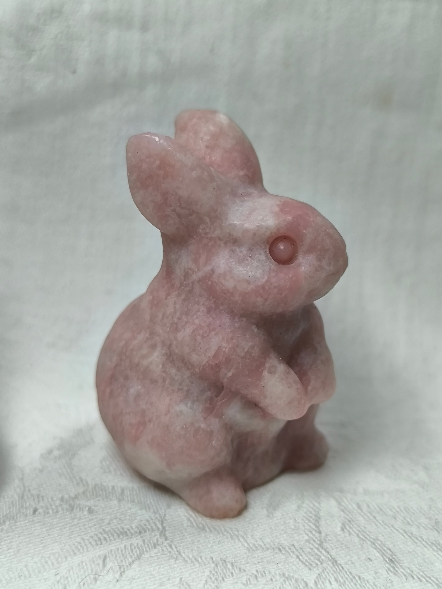 Pink opal rabbits