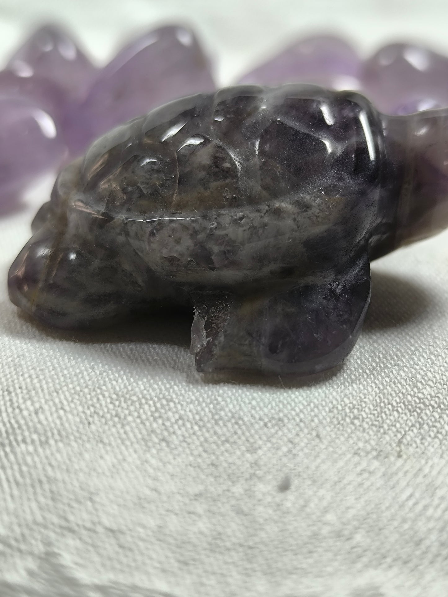 Chevron amethyst injured turtles