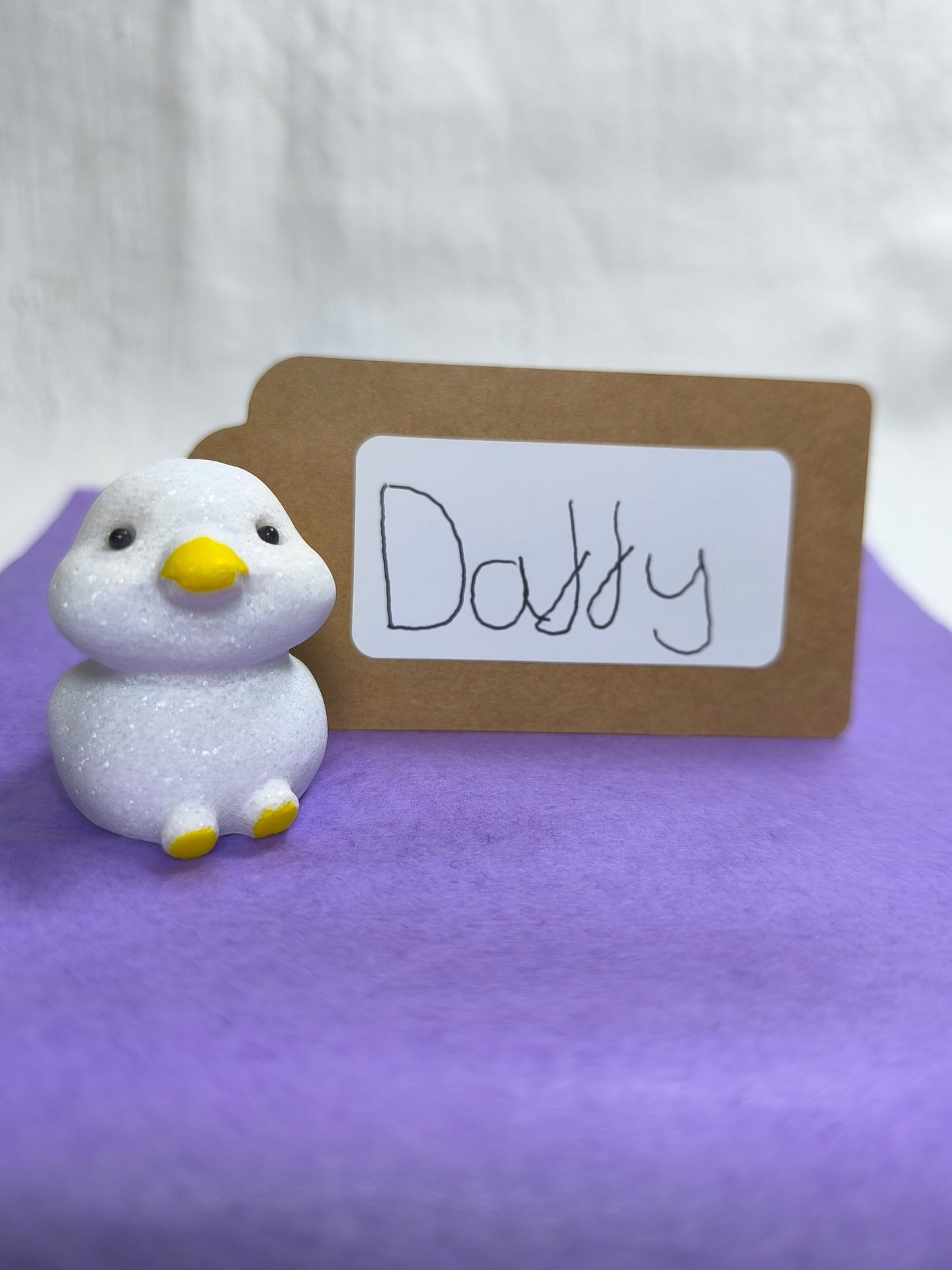 Adopt a duck