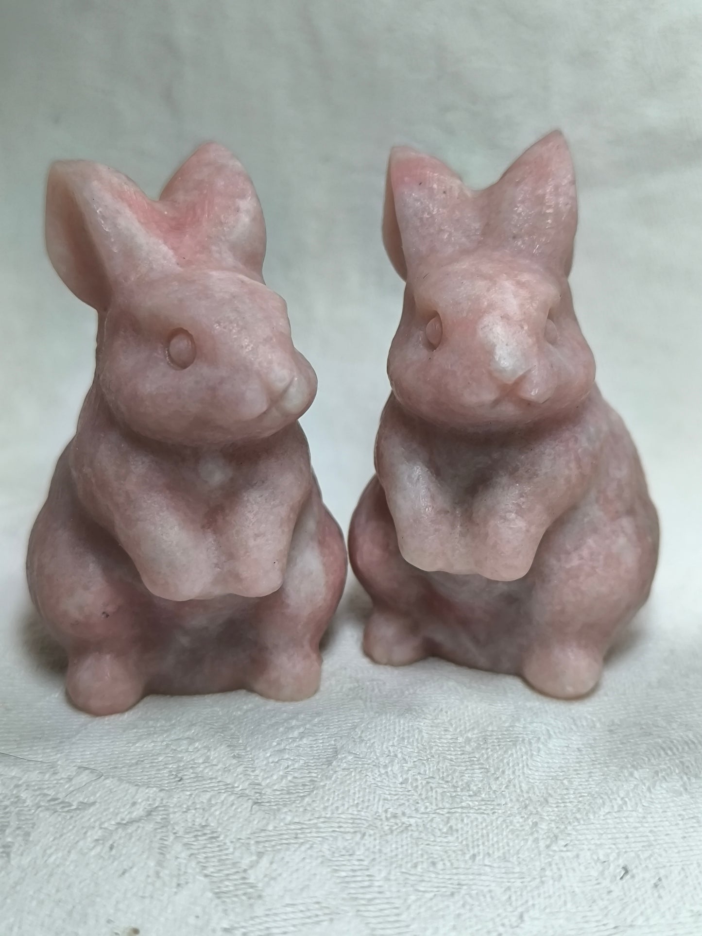 Pink opal rabbits