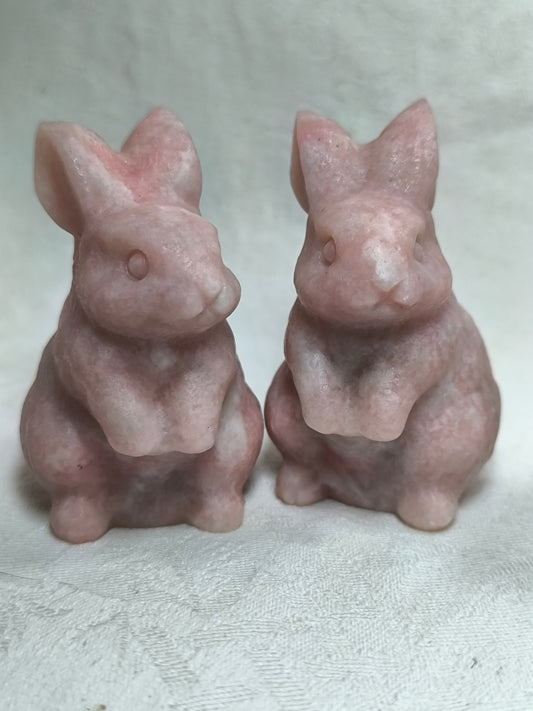 Pink opal rabbits