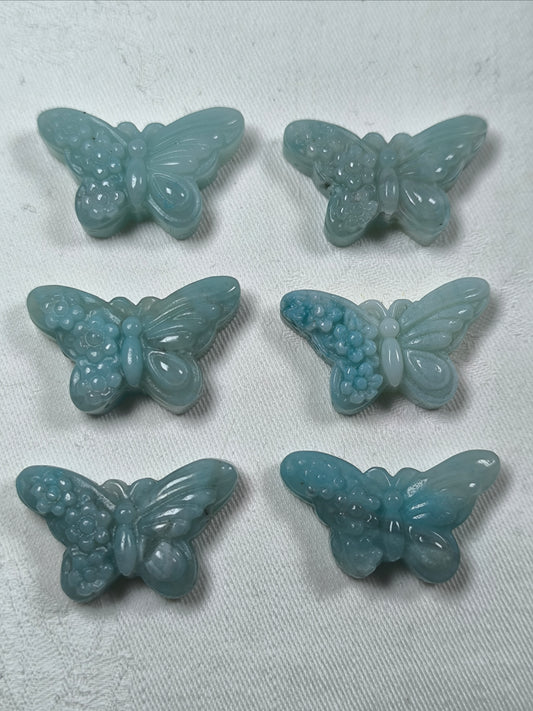 Caribbean Calcite flower butterfiles