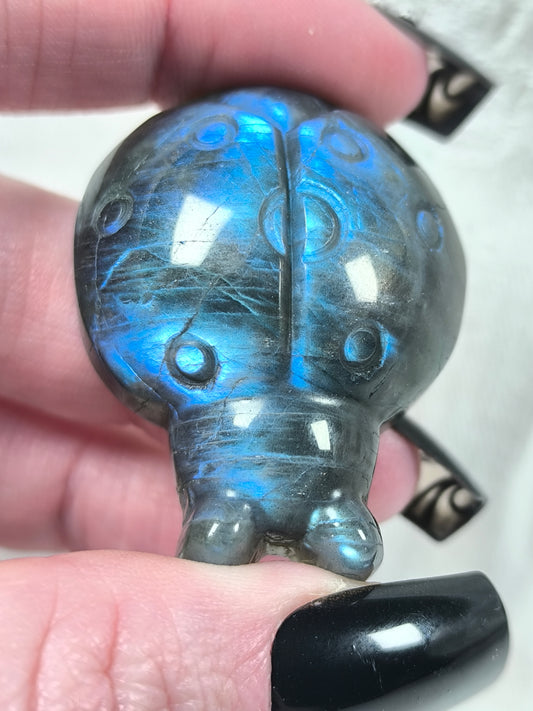 HQ labradorite ladybirds
