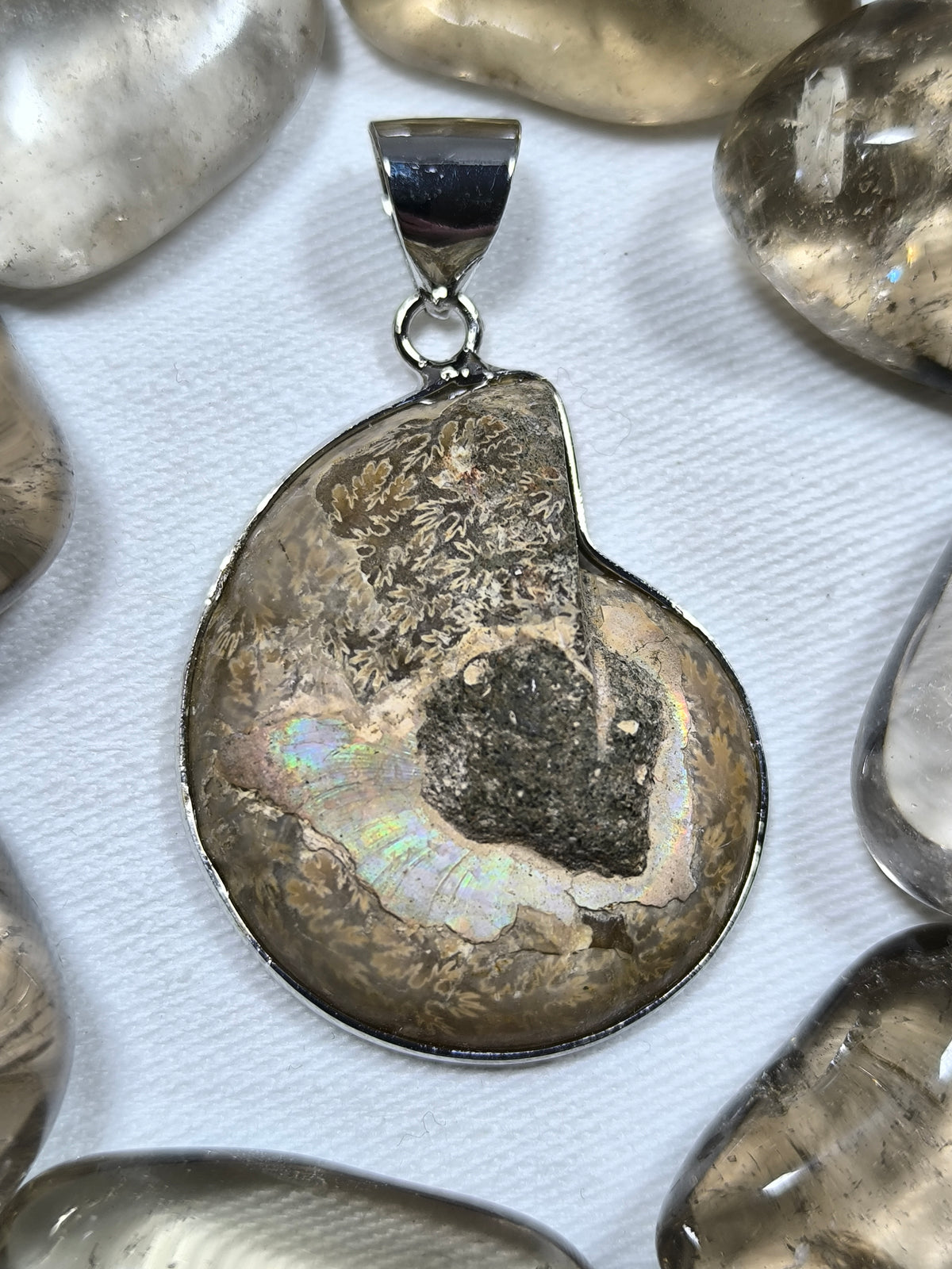 Stainless steel ammonite pendant