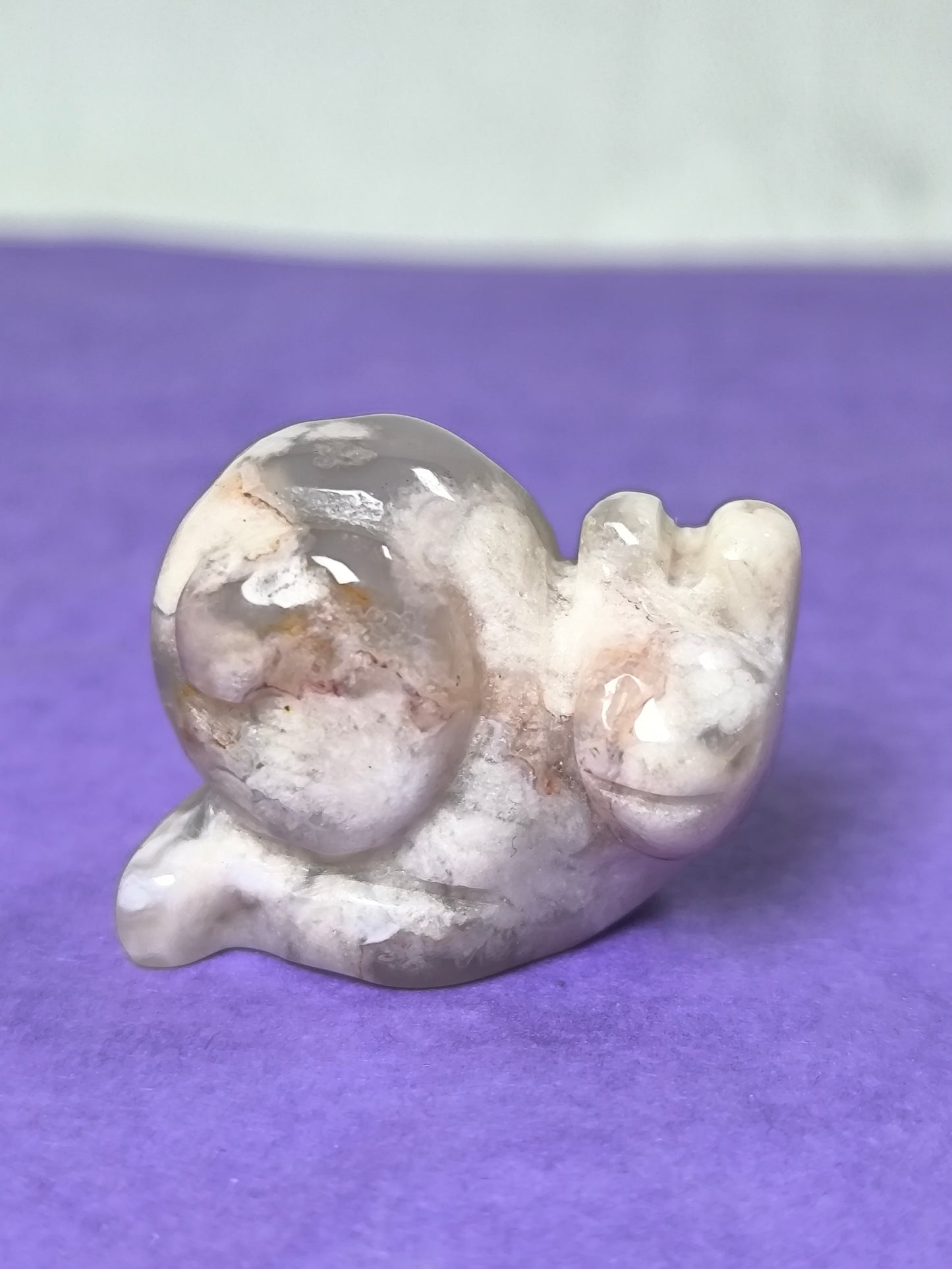 Sakura flower agate snails