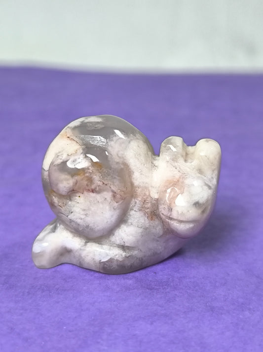 Sakura flower agate snails