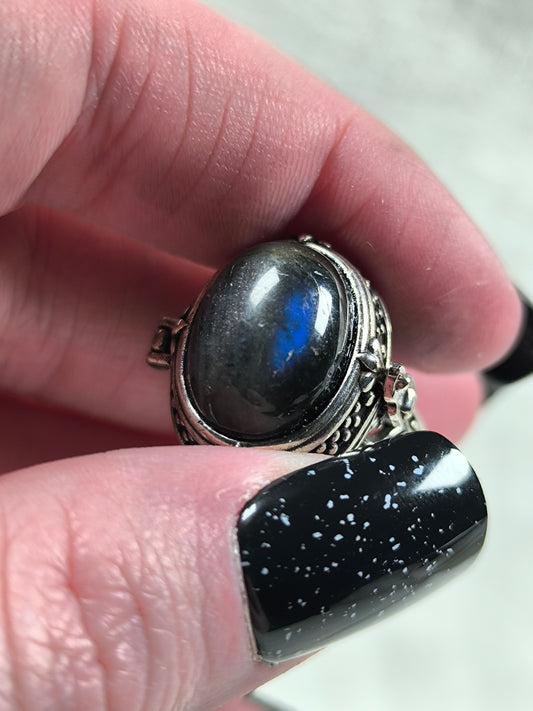 Stainless steel adjustable labradorite poison ring