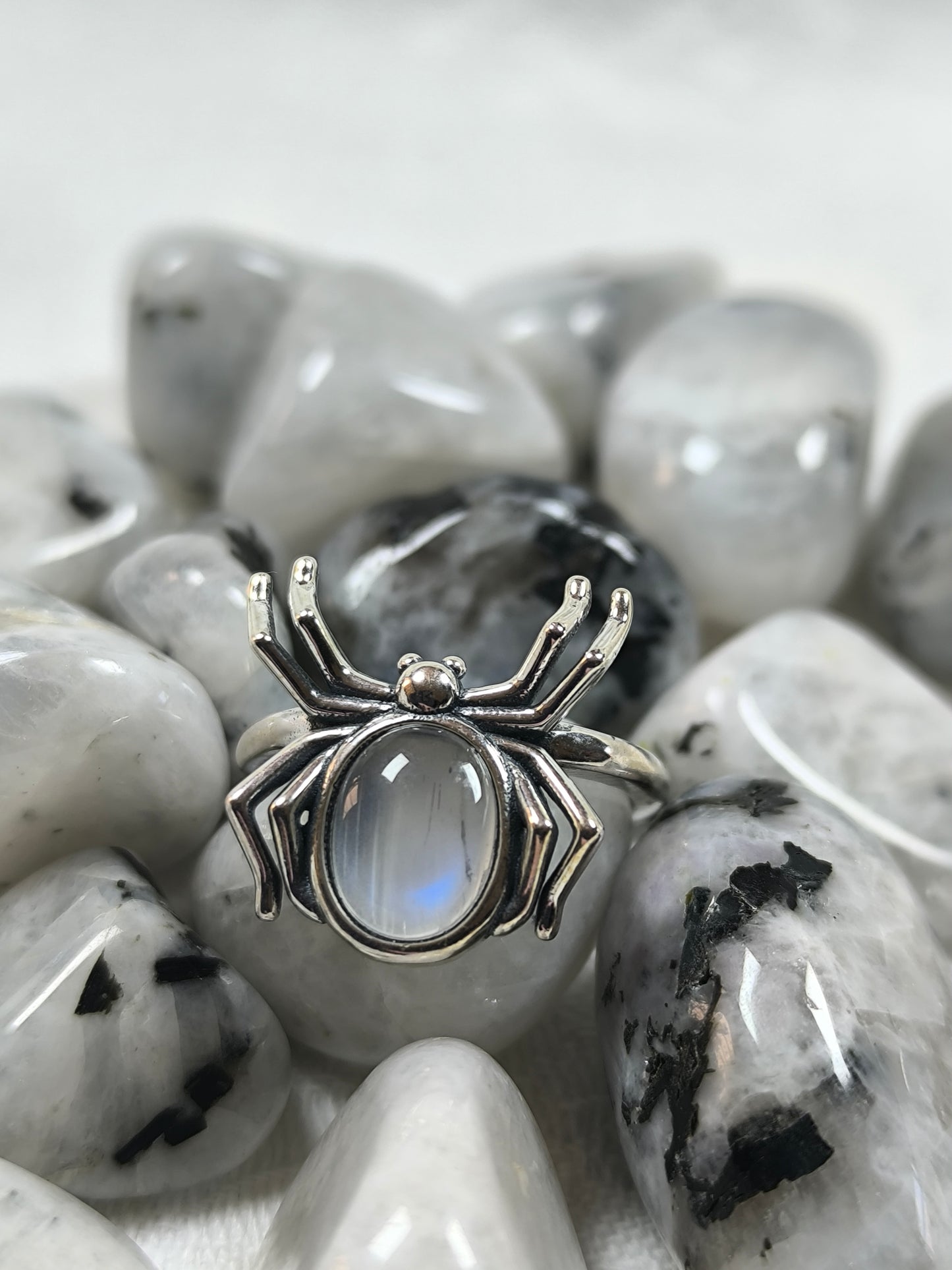 Sterling silver adjustable moonstone spider ring