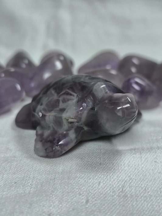 Chevron amethyst injured turtles