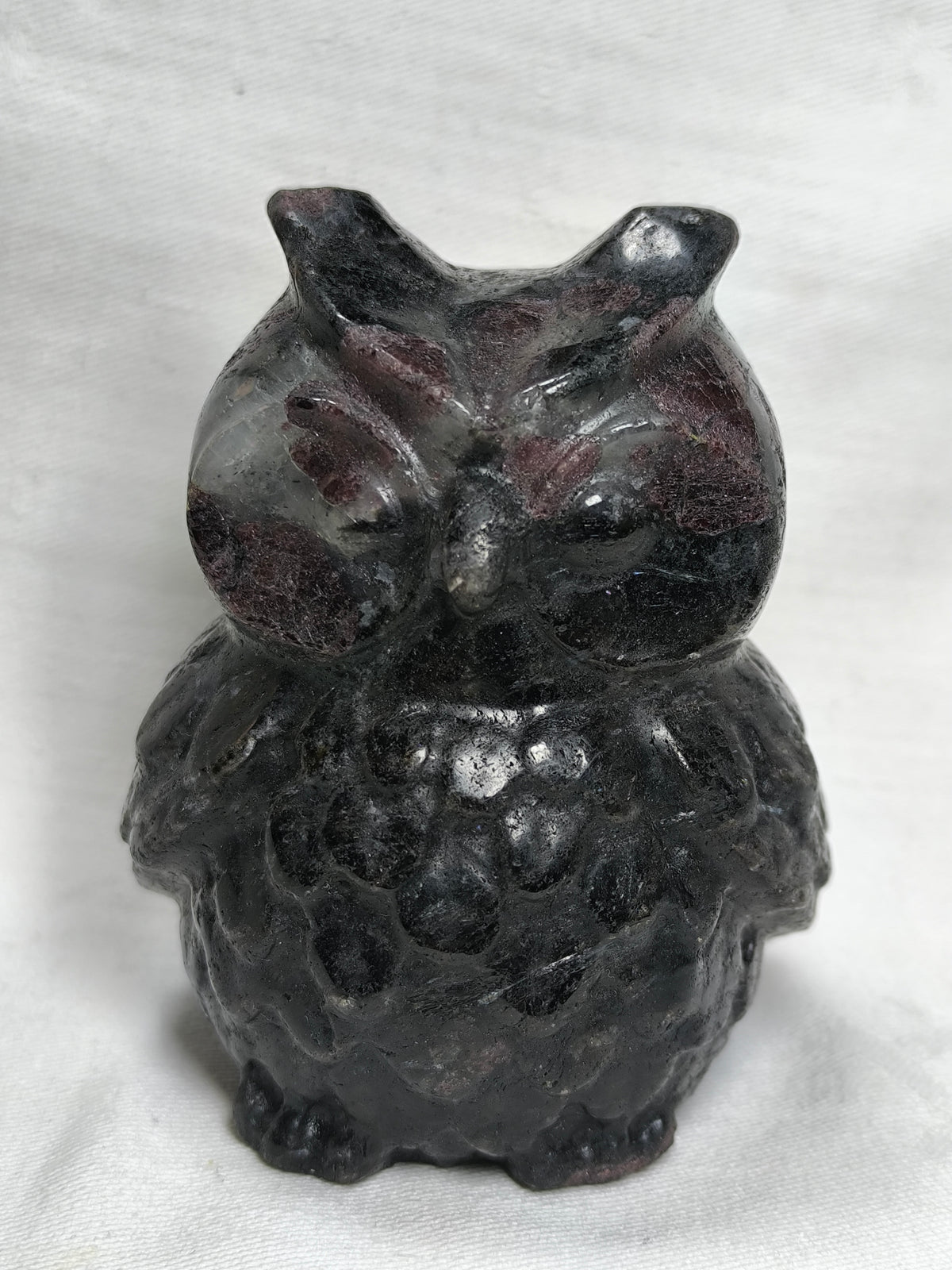 Garnet owl